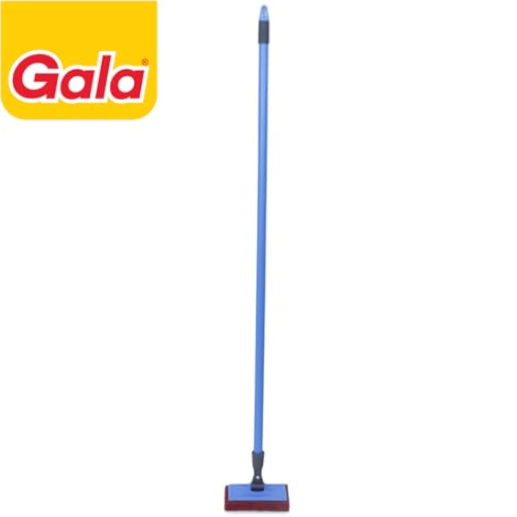 Scrubber with Long Handle